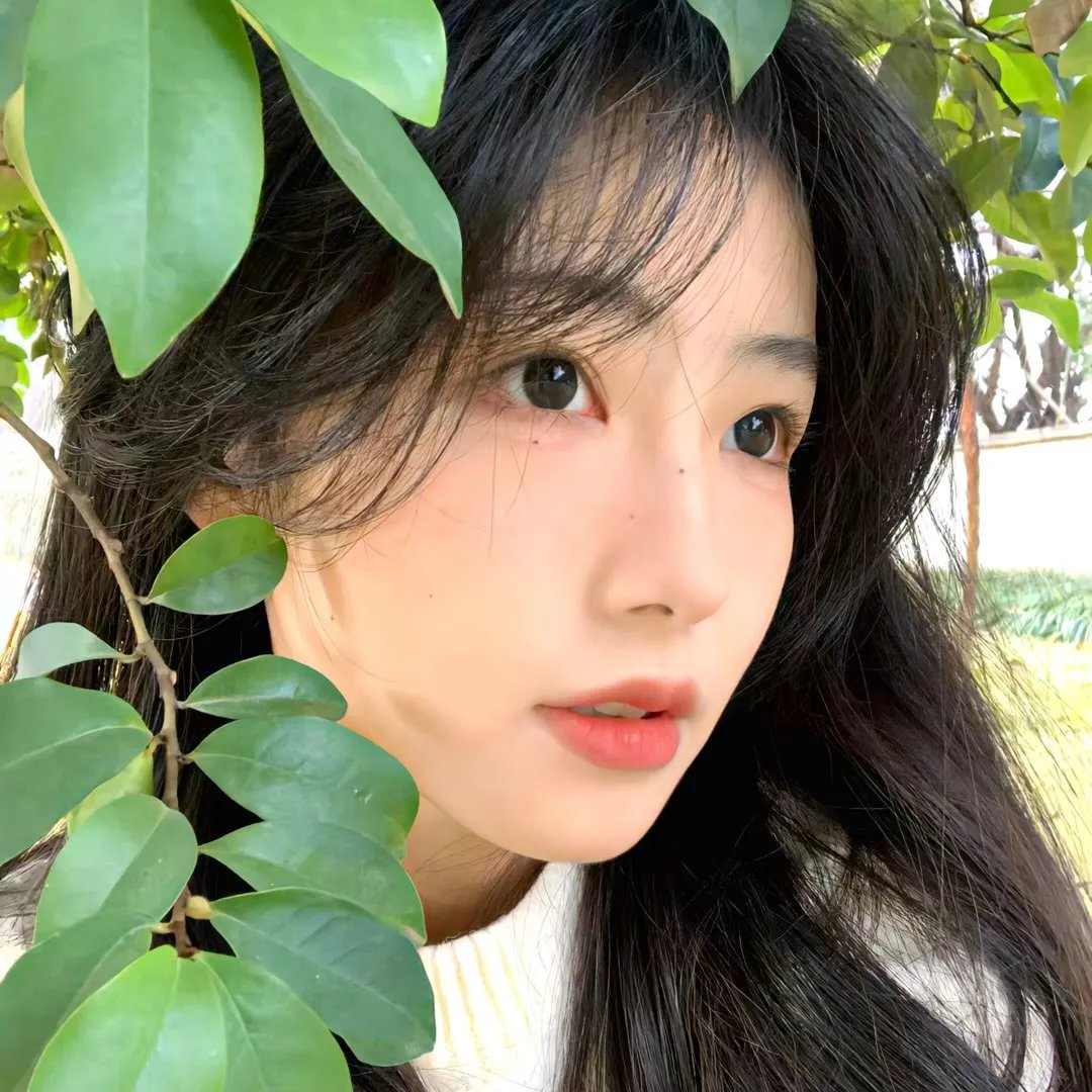 寻颅记